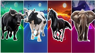 Funny Bull  🆚  Funny Cow 🆚 Funny Horse 🆚 Funny Elephant 🆚 Who Will Win?