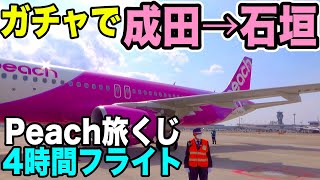 【LCC石垣旅行】Peachのガチャ、「旅くじ」で石垣島に飛ばされました。総額8,000円ちょい。[MM535便 A320-200 JA823P]