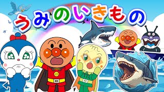 【海の生き物 大集合】アンパンマンと学ぼう☆イルカ、サメ、ウミガメなど20種類の生き物や魚が大集合【子供向け教育海洋生物アニメ】