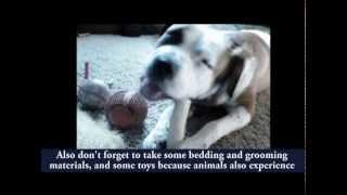 Animal Emergency Preparedness