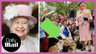 'Her best friends': Queen Elizabeth II and her Corgis