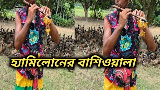 হ্যামিলোনের বাশিওয়ালা বাশির সুর সুনে হাজারো হাঁস রাখালের পিছু নিল।