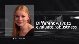 Different ways to evaluate robustness