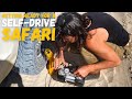 MY VERY FIRST SELF-DRIVE SAFARI ALONE IN AFRICA! |S2EP7|