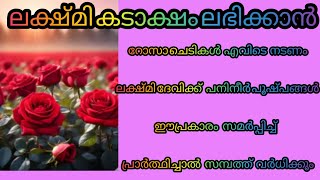 ലക്ഷ്മി കടാക്ഷം ലഭിക്കാൻ റോസാചെടികൾ എവിടെ നടണം || ലക്ഷ്മി ദേവിക്ക് പനിനീർ പുഷ്പങ്ങൾ  സമർപ്പിക്കു