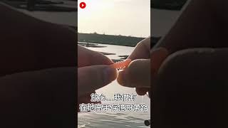 【江江哥愛釣魚】觀光景點大咬的祕訣原來就是…｜黑鯛｜紅槽｜台南釣點 #shorts  #fishing #釣魚