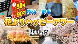 【野毛】お花見！桜満開！メガハイボール90円/鮮度抜群のもつ串焼きでハッピーアワー