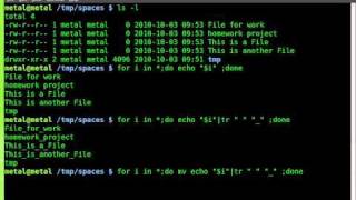 Replace Spaces in File Names - BASH - Linux - tr