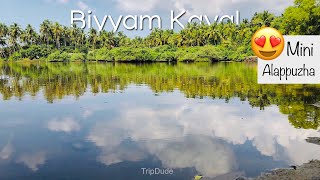 Beautiful Biyyam Kayal Park and Lake is a Mini Alappuzha 😍 Ponnani, Malappuram