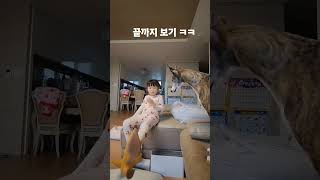 ㅋㅋㅋㅋㅋㅋㅋㅋㅋㅋㅋㅋ귀요미 끝까지 보세요 #shorts #short