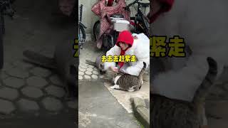 小猫咪，我劝你别瞎捣乱！#我和流浪猫的故事 #小猫咪能有什么坏心眼 #拐子婆