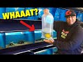 EXOTIC FISH STORE OWNER SOLD ME a LEMON for my HUGE AQUARIUM!