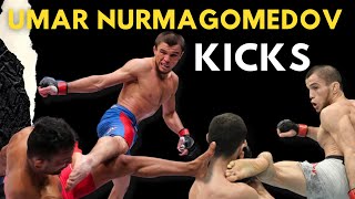 umar nurmagomedov kicks \