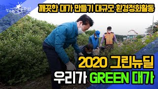 우리가 Green 대가 대규모 환경정화활동