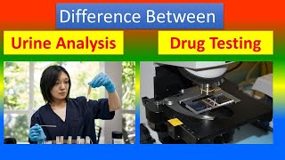 Difference between Urinalysis and Drug Testing