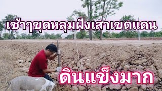 ขุดหลุมฝังเสารั้วแนวเขต