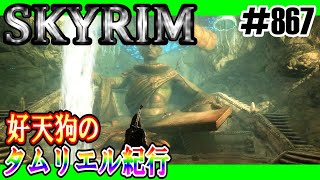 【SKYRIM】好天狗のタムリエル紀行　ブラインドサイト【#867】