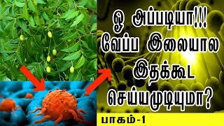 வேப்ப இலை  இதைக்கூட  செய்யுமா!!! / amazing neem leaves