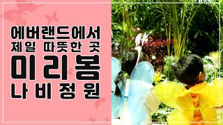 [ZOO뗌므] 한겨울에 나비 체험?! | 에버랜드 미리봄 나비정원