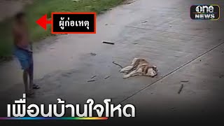 เพื่อนบ้านตีหมาตาย ลากร่างทิ้งน้ำ | ข่าวเช้าช่องวัน | สำนักข่าววันนิวส์