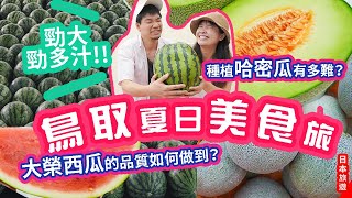 鳥取夏日美食旅3🍉勁甜多汁的大榮西瓜與哈密瓜🍈美味是這個原因？1,000個西瓜的盛況 超壯觀選果場！與農家親自對話 #日本旅遊 #鳥取県 #鳥取縣