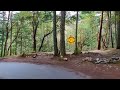 virtual cycling video beautiful forest no music 10 minutes