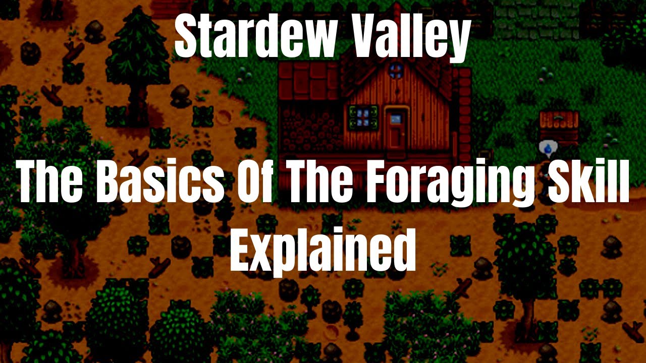 Stardew Valley The Basics Of The Foraging Skill Explained - YouTube