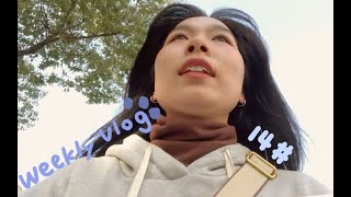 vlog.婚后分居简单生活 ｜ 开车碰瓷·组装收纳柜·胖哥称体重·周末年饭