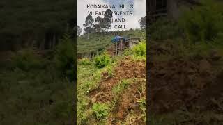 KODAIKANAL TOWN VILPATTI 25CENTS PATTA LAND 56LACS CALL 9884450271 @kodaikanal3609