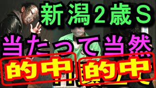 【新潟2歳ステークス2020 予想】当たって当然 11頭立て【当たっていいとも！おこちゃ競馬予想】