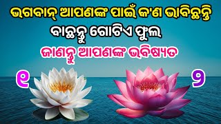 ବାଛନ୍ତୁ ଗୋଟିଏ ଫୁଲ... ଜାଣନ୍ତୁ ଆପଣଙ୍କ ଭବିଷ୍ୟତ //Odia Astrology...//Odia suvichar//Today Best line...