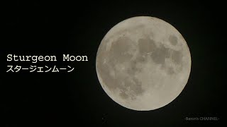 Sturgeon Moon（スタージェンムーン）８月の満月と木星　2021年8月22日　（千葉県木更津市から）