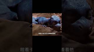 男人上山打獵時，意外撿到一顆藍色奇石，竟孵化出了遠古生物！ #科幻迷FANS #科幻迷 #FANS #電影解說 #電影