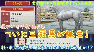 【ダビスタ Switch】#13 初期牝馬イドゥンの系譜 三冠馬誕生と凝った奇跡の血量について考察【競馬はドラマ】