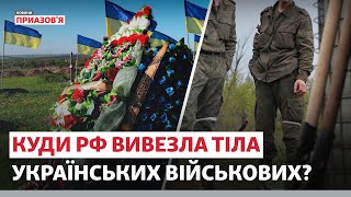 😡 «РФ ЗАМІТАЄ СЛІДИ». Окупанти вирили могили українських військових у Каланчаку | Новини Приазов’я