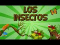 LOS INSECTOS 🐞🦗| Vídeos Educativos para Niños