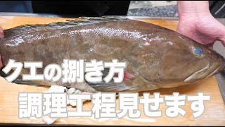 高級魚クエの基本の捌き方です