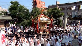 令和元年 尾久八幡神社大祭 本社神輿宮出し