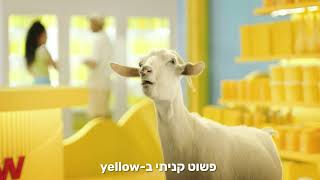 קונים, מגרדים ונכנסים להגרלה יומית. רק ב-yellow