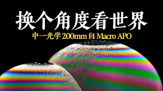 于宏片处见细微 中一光学200mm f4长焦微距下的“视”界