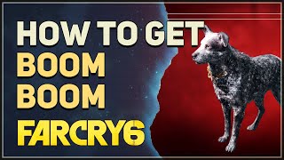 How to get Boom Boom Far Cry 6 Amigos