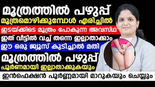 മൂത്രത്തിൽ പഴുപ്പ് ഇല്ലാതാവും ഇൻഫെക്ഷൻ പൂർണമായി മാറുകയും ചെയ്യും ഈ ഒരു ജ്യൂസ് കുടിച്ചാൽ മാത്രം മതി