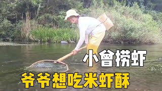 百歲爺爺想吃米蝦酥，小曾去河邊撈，結果撿到很多河螺和小河魚 #侗家老羅