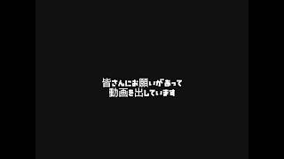 歌詞募集