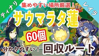 【原神】分かりやすい！サウマラタ蓮回収ルート