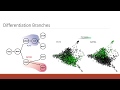 scRNA-Seq of CD34+/CD45+ Sorted Unstimulated Human PBMCs Reveals Heterogeneity within HSPC Pool