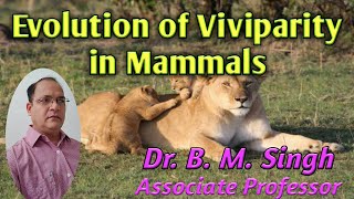 Evolution of viviparity in Mammals