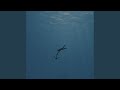 Anchor