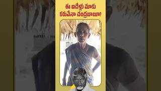 చంద్రబాబు అధికారంలోకి వచ్చి ఇచ్చింది ఏమీ లేదు.. మళ్లీ ఈ ఐదేళ్లు మాకు కరువేనా? #andhrapradesh