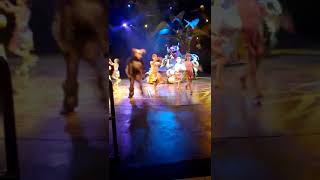 Hong Kong Disney Land Lion King 香港迪士尼乐园 狮子王